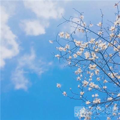 关键攀登官方版（crux）下载